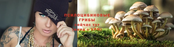 mdma Ельня