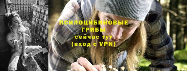 mix Елабуга