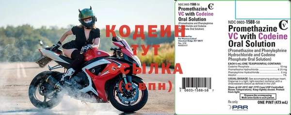 шишки Хадыженск