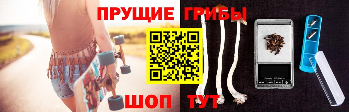 Реж  Псилоцибиновые грибы мухоморы  закладка  Вход с VPN  Псилоцибиновые грибы Cubensis 
